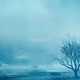 Amidst