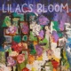 lilacs bloom Single