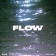 Flow orbit Remix Single