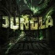 jungla feat fab Single