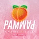 Pam Pam Single