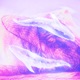 Kujirano Single