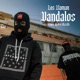 Vandalos Con Aerosoles Single