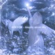Angels Never Die Single