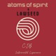 C I B Instrumental Experience Single