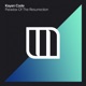 Paradox of the Resurrection Single