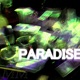 Paradise Single
