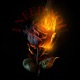I Need You Single