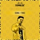 Song Fake Single