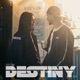 Destiny feat Yulian Barrera Drealytt G Moran Emanuel Single