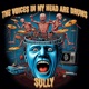 The Voices In My Head Are Drums