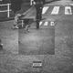 Check My Ledge Remix feat YOUNG JUJU DIAN YUSHI Single
