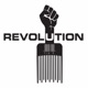 Revolution Single