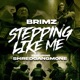 Steppin Like Me feat Shredgang Mone Single