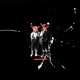 A Skiver s Lament Single