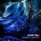 Nasty Shit Single