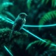 Bluebird feat Luciano Ledesma Single