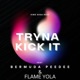 Tryna Kick It feat Bermuda PeeDee FlameYola Single