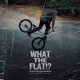 WHAT THE FLAT feat Nfx Single