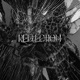 Reflection Single