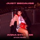 Just Because Sfven Remix Single