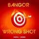 Wrong Shot Single