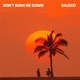 Don t Burn Me Down Single
