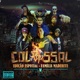 Rap Colossal V Edição Especial Família Maderite Single