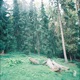Chrch Single