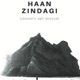 Haan Zindagi Single