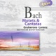 Bach Motets Cantatas