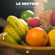 Quotidien Single