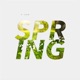 Spring Single
