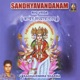 Rig Veda Sandhyaavandanam
