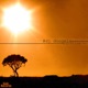 Sunshine Single