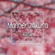 Mannenzakura Single