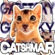 CATSHMAR Single