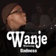 Wanje feat Badness Single