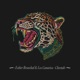 Cheetah Single