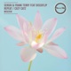 Repeat Cozy Catz feat DiscoFlip Single