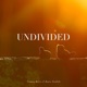 Undivided Single