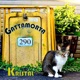 Gattamorta Single