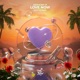 Love Now feat ROBINS Single
