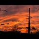 Timing feat Mel Single
