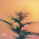 Growth feat Lazy Smoovth Single