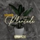 Plantada Single