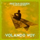 Volando Voy Single
