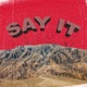 Say It feat Trev Single