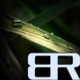 Green Single