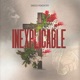 Inexplicable Single